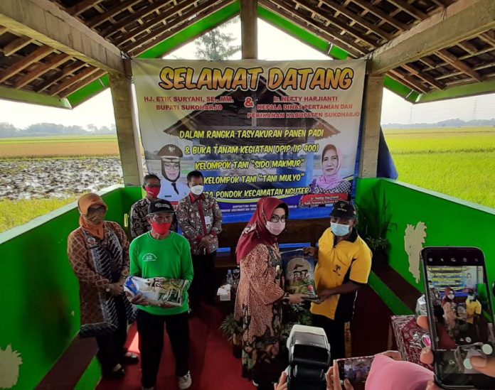 08-syukuran padi