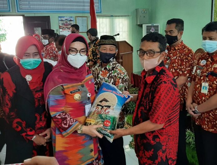 bantuan benih