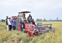Bupati Dampingi Wamentan Panen Raya Padi di Desa Joho Mojolaban