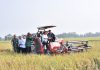 Bupati Dampingi Gubernur Jateng Panen Padi di Desa Gentan
